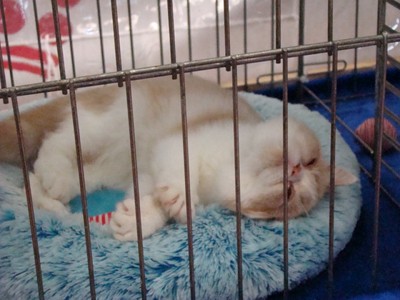 20121021_114 (Expo)